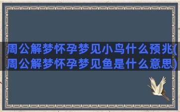 周公解梦怀孕梦见小鸟什么预兆(周公解梦怀孕梦见鱼是什么意思)