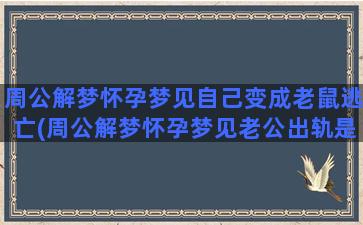 周公解梦怀孕梦见自己变成老鼠逃亡(周公解梦怀孕梦见老公出轨是什么意思)