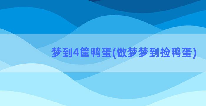 梦到4筐鸭蛋(做梦梦到捡鸭蛋)