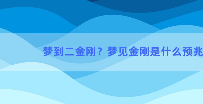 梦到二金刚？梦见金刚是什么预兆