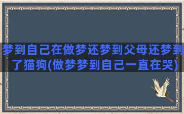 梦到自己在做梦还梦到父母还梦到了猫狗(做梦梦到自己一直在哭)