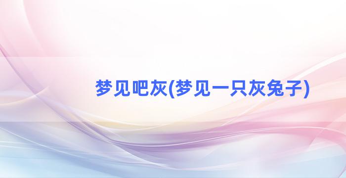 梦见吧灰(梦见一只灰兔子)