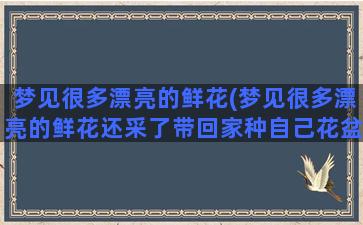 梦见很多漂亮的鲜花(梦见很多漂亮的鲜花还采了带回家种自己花盆里了)