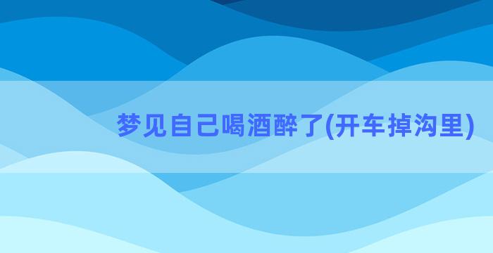 梦见自己喝酒醉了(开车掉沟里)