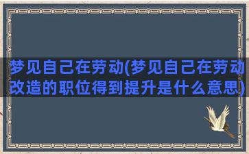 梦见自己在劳动(梦见自己在劳动改造的职位得到提升是什么意思)