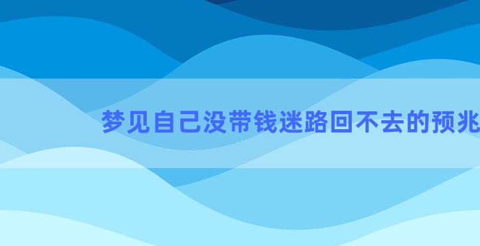 梦见自己没带钱迷路回不去的预兆