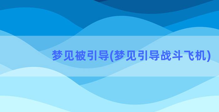 梦见被引导(梦见引导战斗飞机)